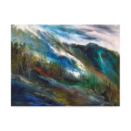 Sheila Finch 'Sierra Storm' Canvas Art,35x47